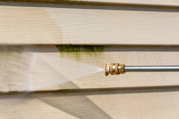 Best Roof Pressure Washing  in Chickamau, GA